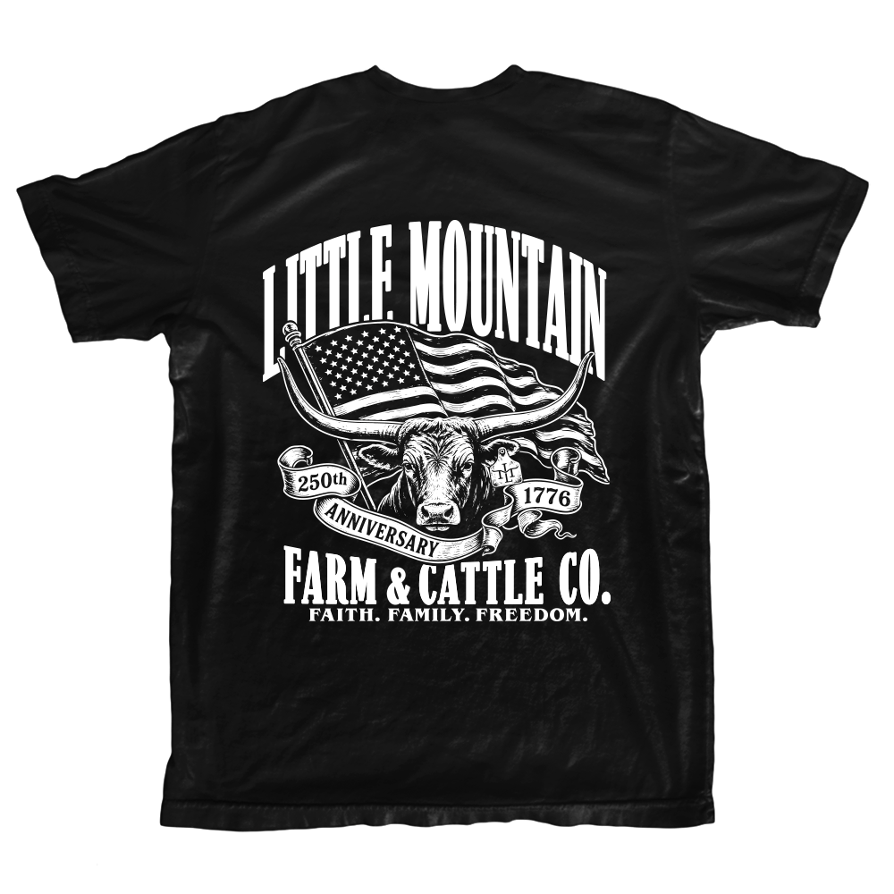 America's 250th Anniversary Tee
