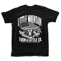 America's 250th Anniversary Tee