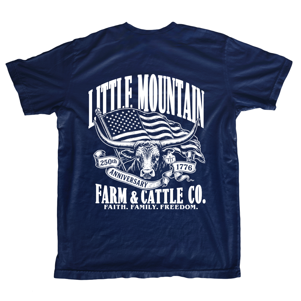 America's 250th Anniversary Tee