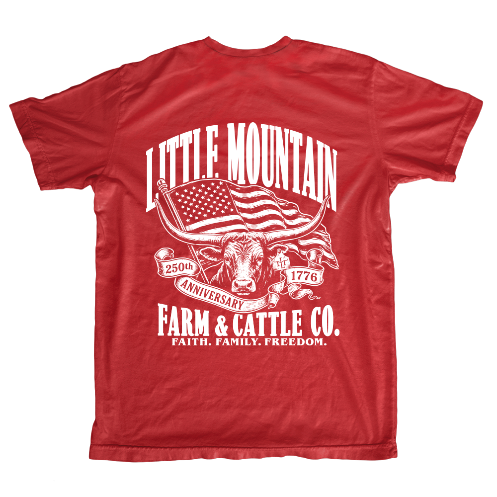 America's 250th Anniversary Tee