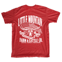 America's 250th Anniversary Tee